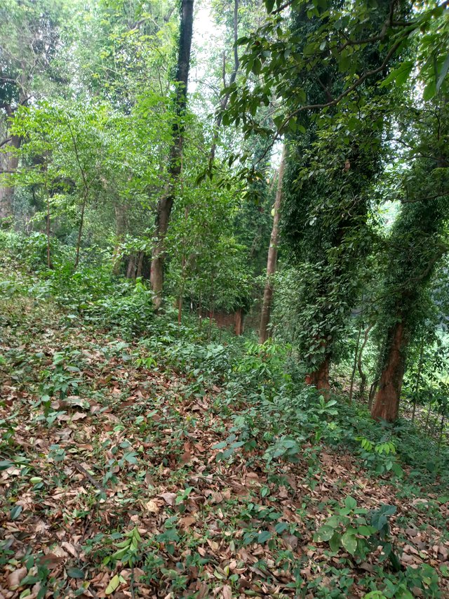 20230503_063459.jpg