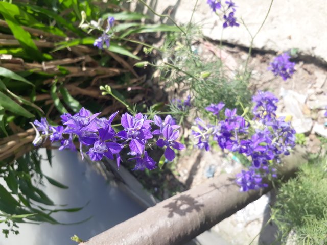 20180428_134739.jpg