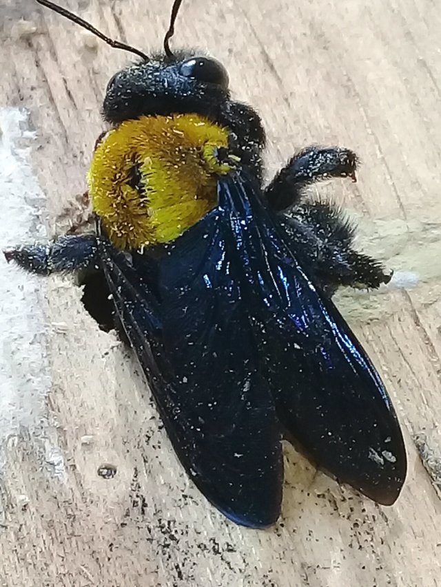 20180911_195645.jpg