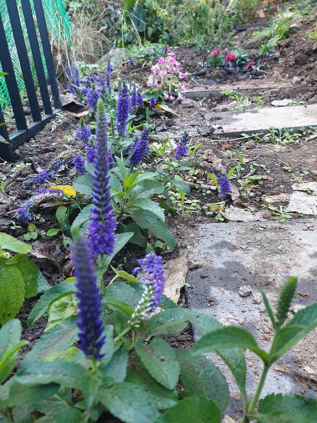 20211023_083723.jpg