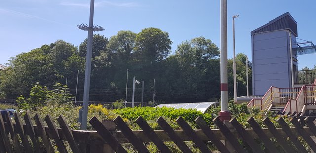 20180624_140000.jpg