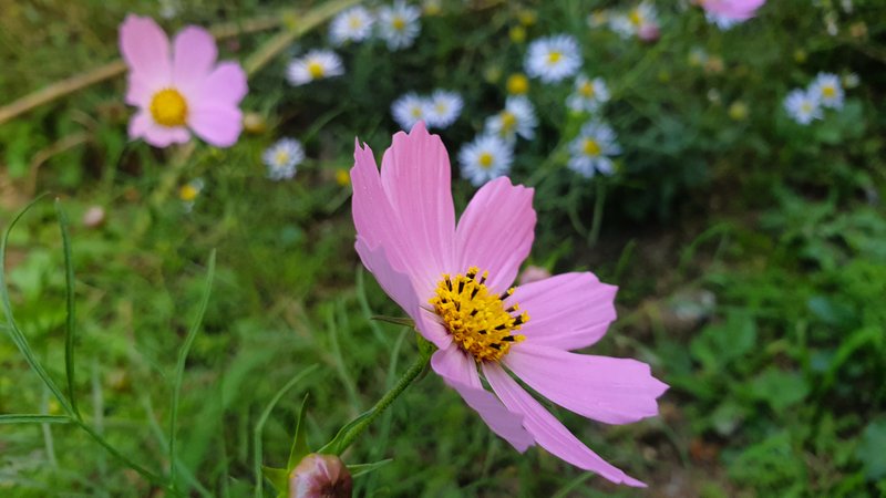 20190924_170229.jpg