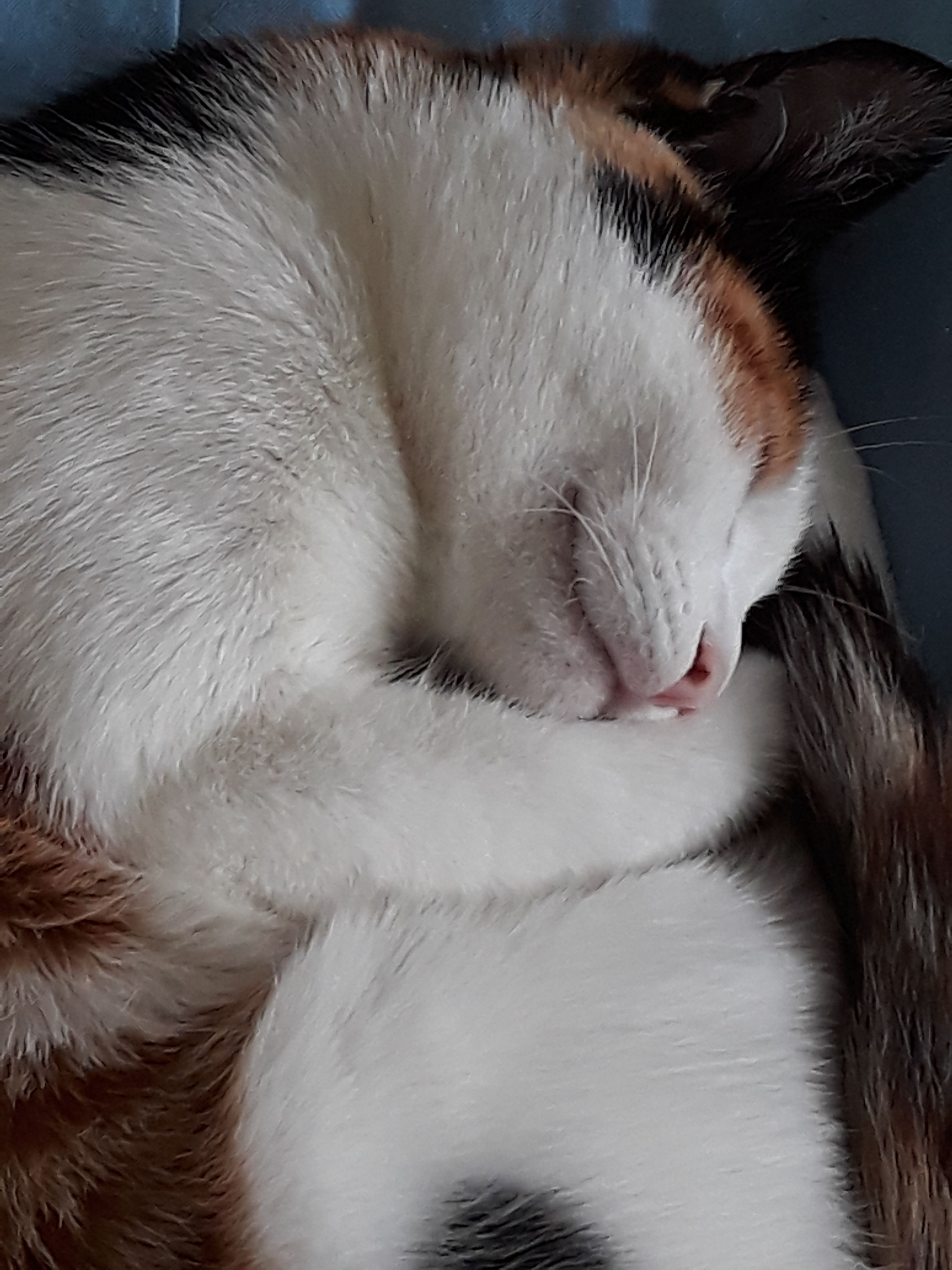 20180407_081816.jpg