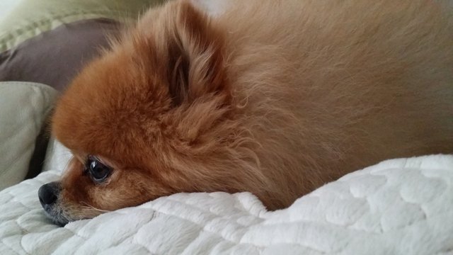 20140314_152928.jpg