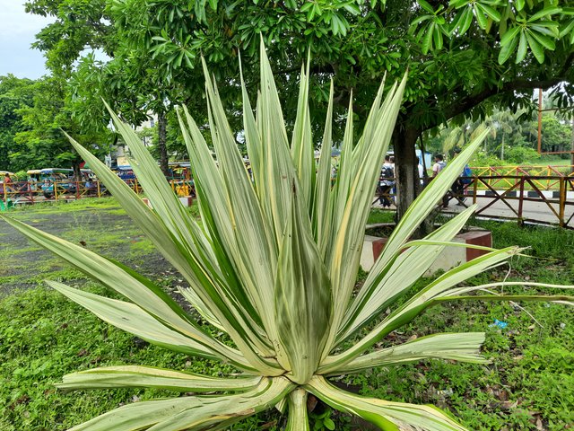 20230731_080056.jpg
