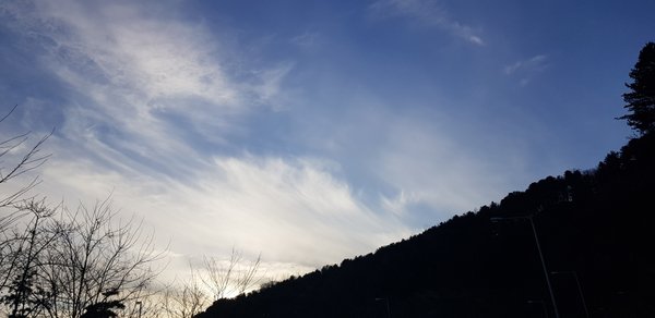 20181209_161936.jpg