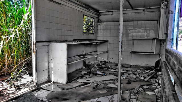 DSC_1397-01-01.jpeg