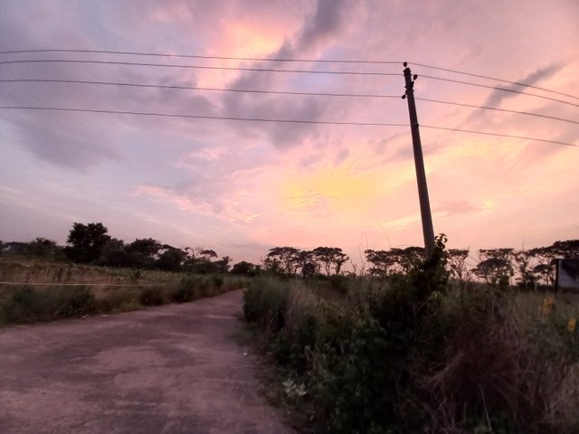 20220822_182646.jpg