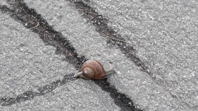 20190430_074947.jpg