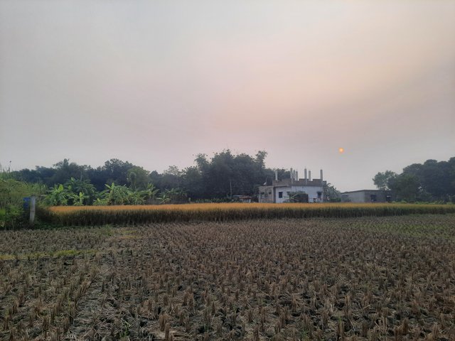 20241126_160655.jpg