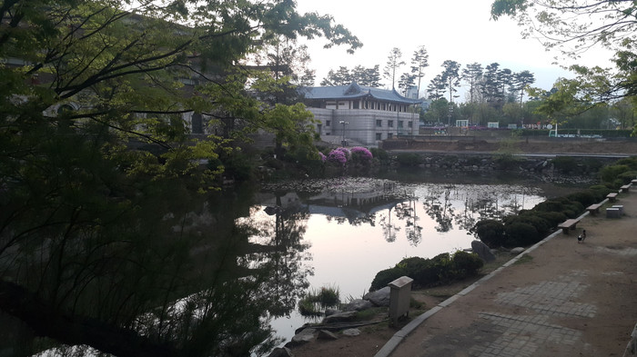20160419_054534.jpg