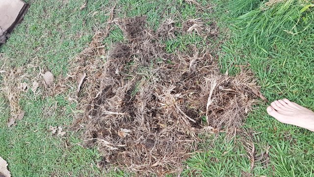 20181101_064124.jpg