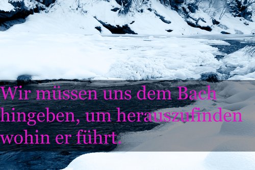 Kein Bild