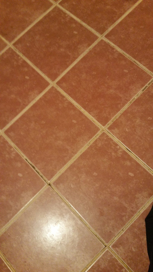20180401_122554.jpg