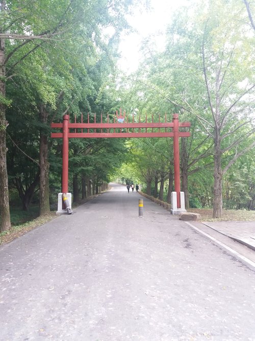 20181009_103655.jpg