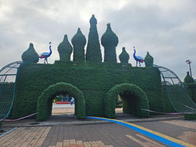 20251004_164231.jpg