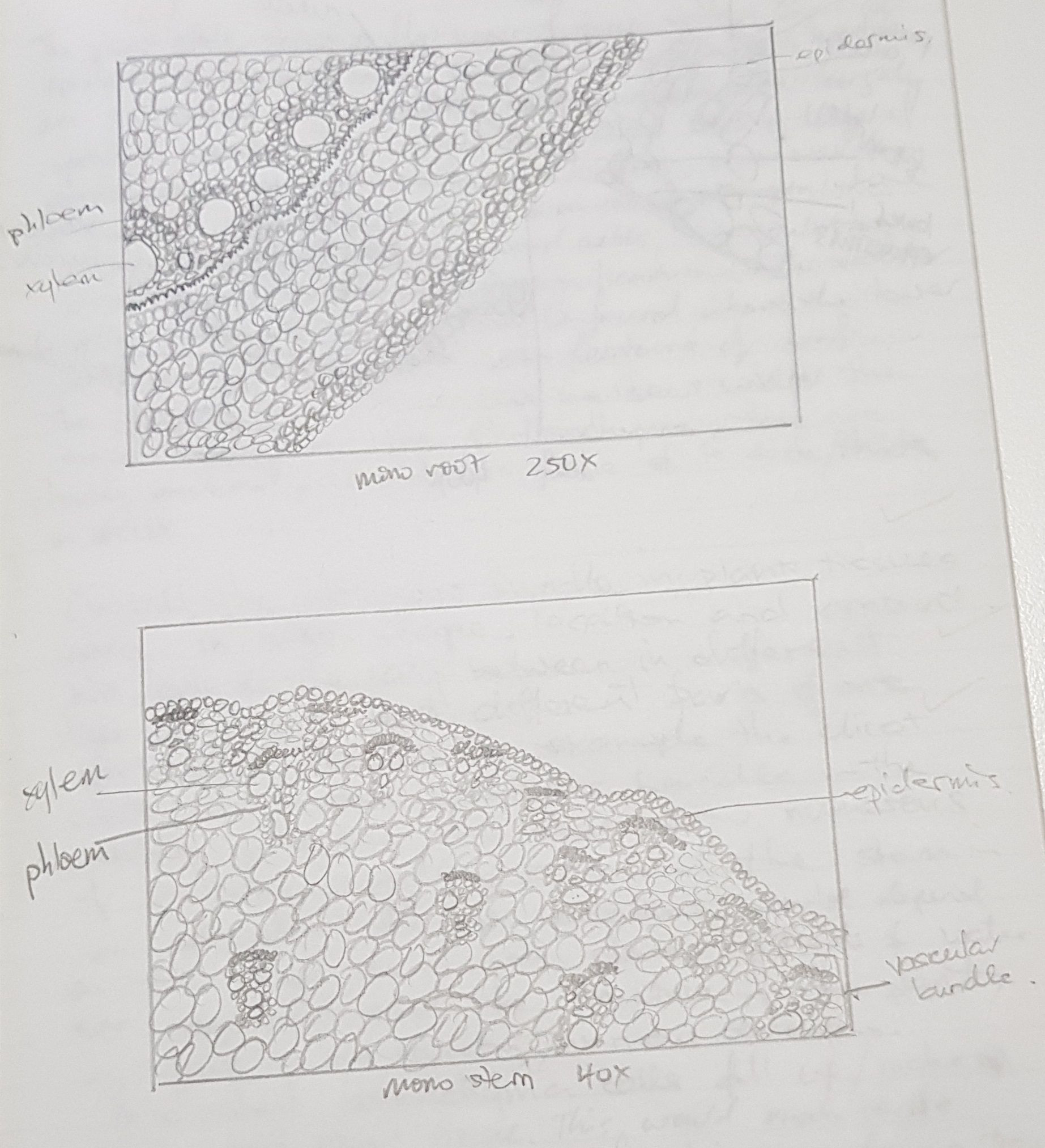 20180416_223951.jpg