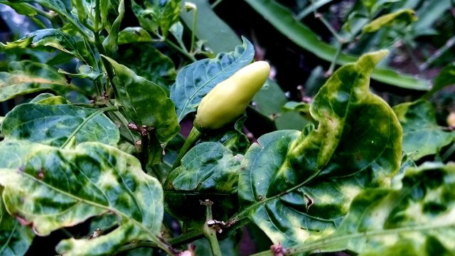 20210929_084735.jpg