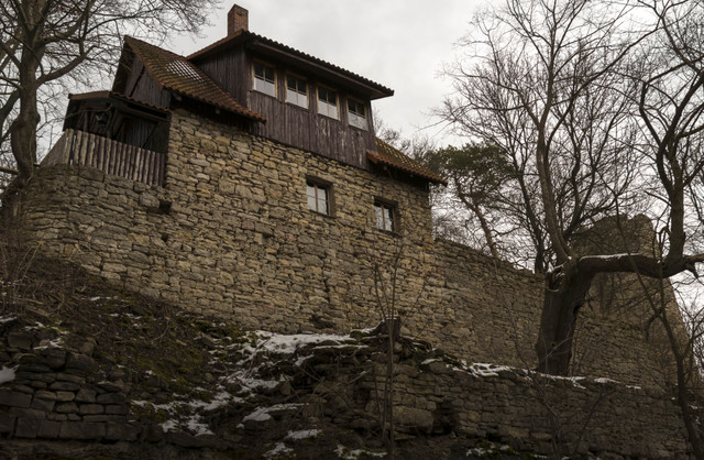 forest-fortress.jpg
