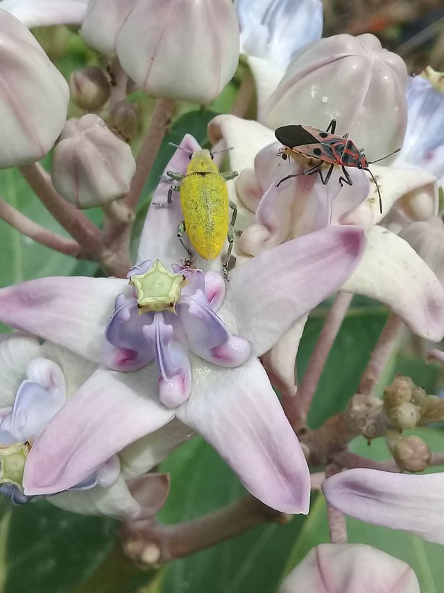 20180628_074159.jpg