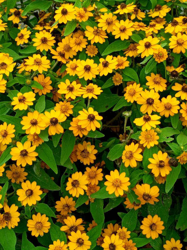 20220731_102634.jpg
