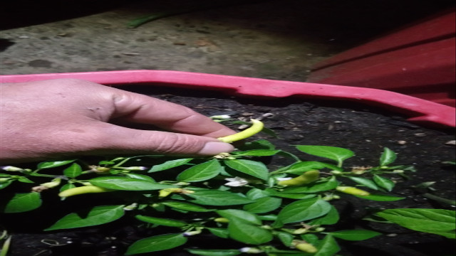 20180619_014250.jpg