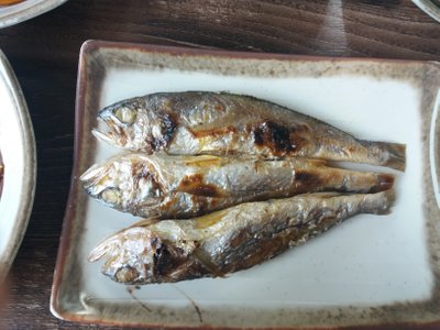 20181009_120700.jpg
