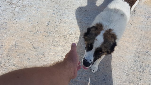 20160921_111122.jpg