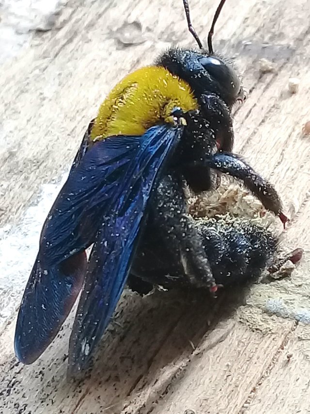 20180911_195924.jpg