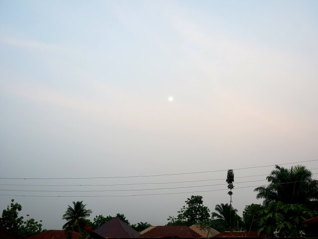 20230404_183848.jpg