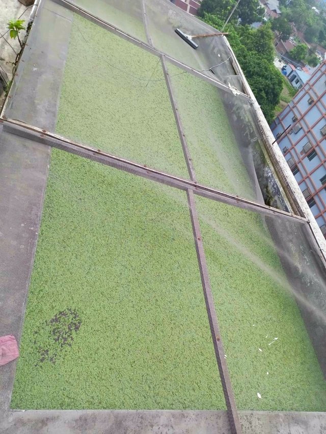 20220823_092622.jpg