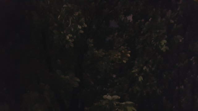 20210623_212824.jpg