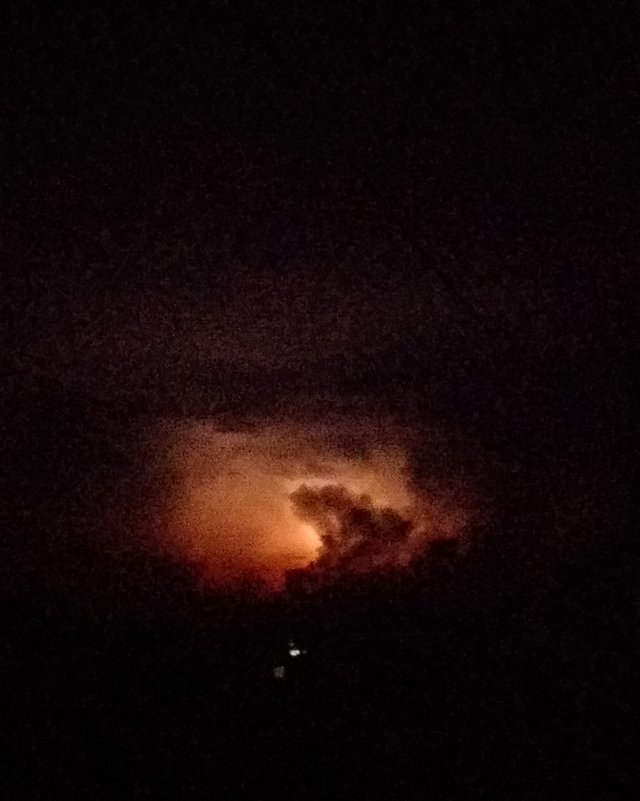20200721_120737.jpg