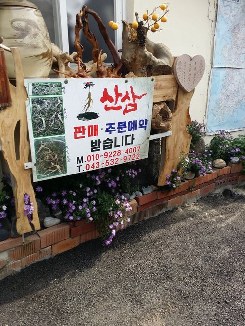20181022_122441.jpg