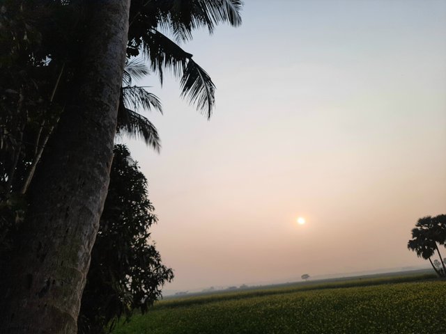20251226_160940.jpg