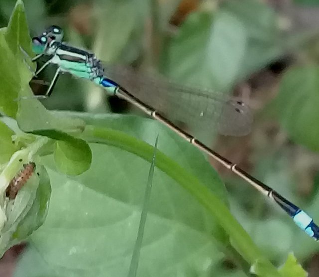 20180827_180159.jpg