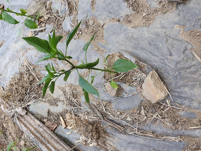 20190601_095221.jpg