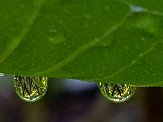 20181220_084241.jpg