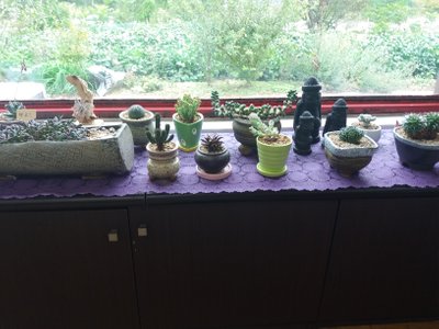 20181009_114047.jpg