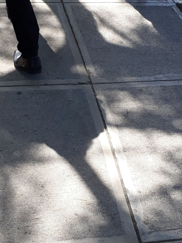20170630_094945.jpg