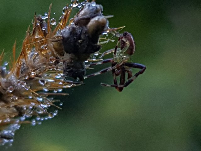 20180706_100309.jpg
