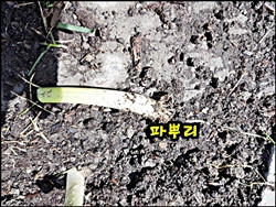 20180512_130104.jpg