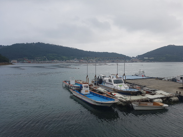 20170730_090253.jpg