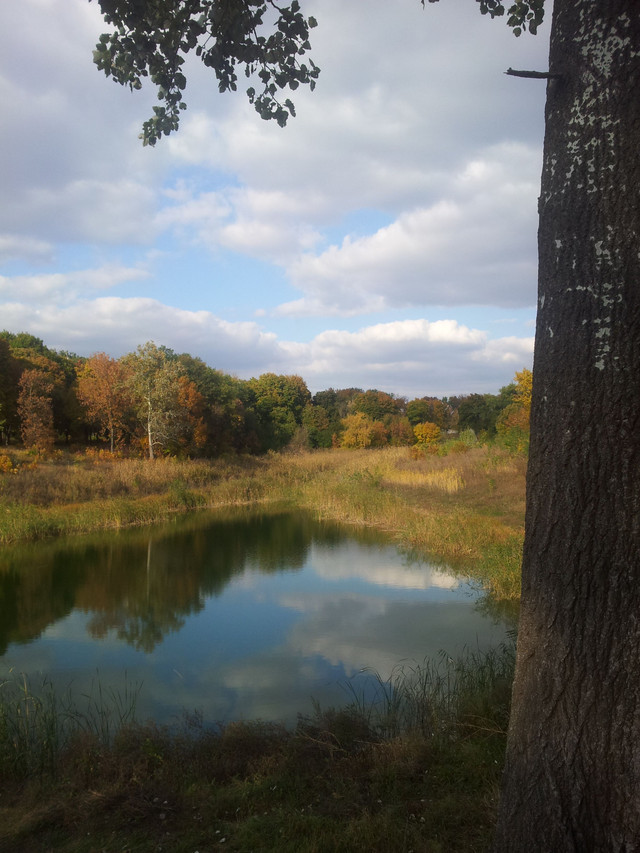 20141005_152150.jpg