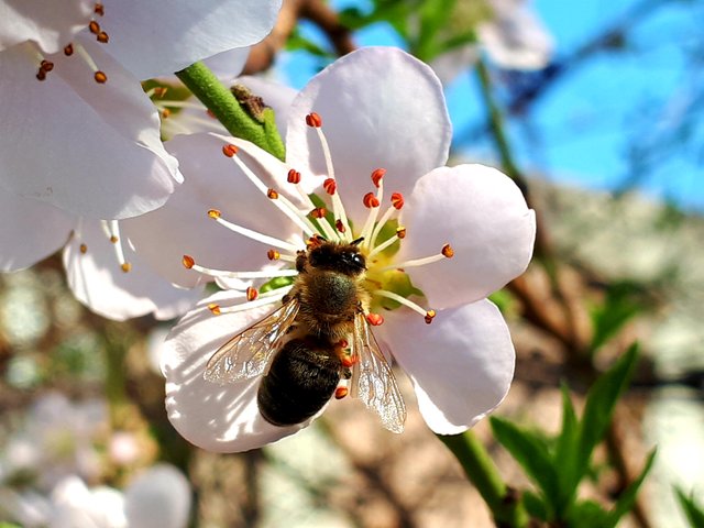 20190325_183843.jpg