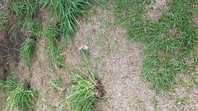 20181101_064117.jpg