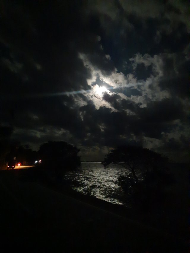 20220811_202520.jpg