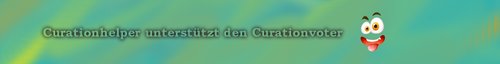 Kein Bild