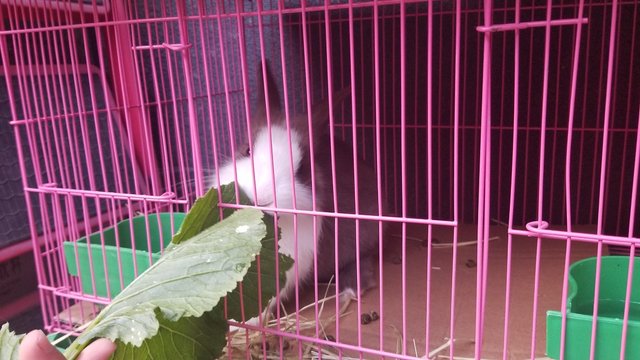 20181013_163738.jpg