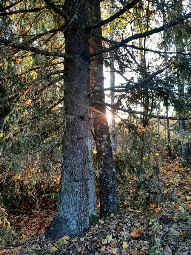 20261022_170122.jpg